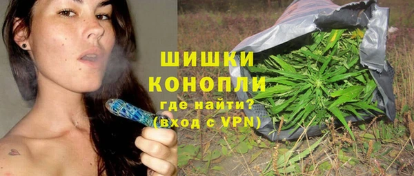 индика Покровск