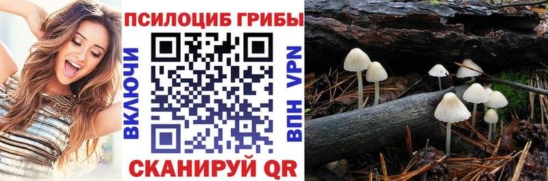купить   кракен зеркало  Галлюциногенные грибы прущие грибы  Богучар 