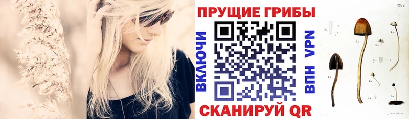 Псилоцибиновые грибы прущие грибы Богучар